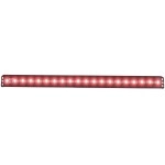Anzo 861156 - 24" LED Light Bar (Red)