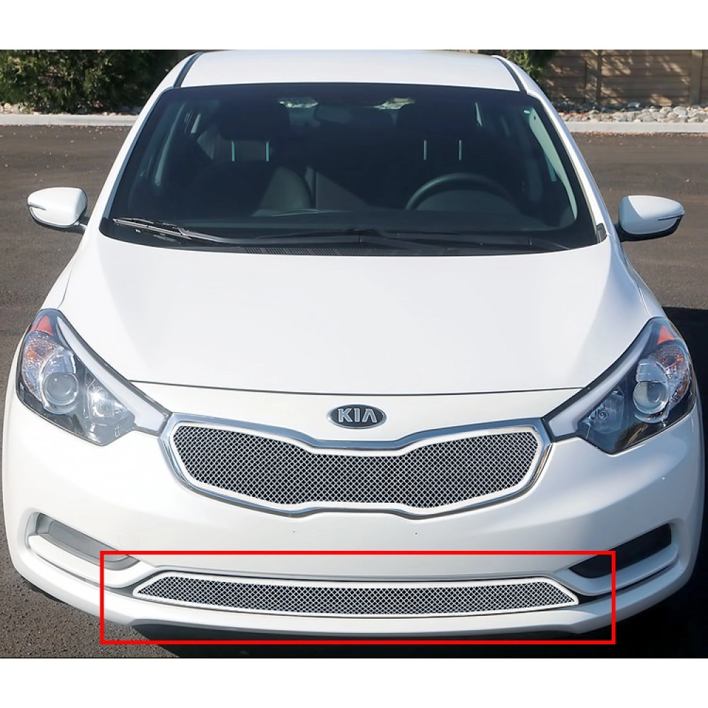 APS GR11GEI64T - Polished Stainless Steel Lower Bumper 1.8mm Wire Mesh Grille